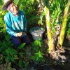 โครงการถังขยะเปียกลดโลกร้อน